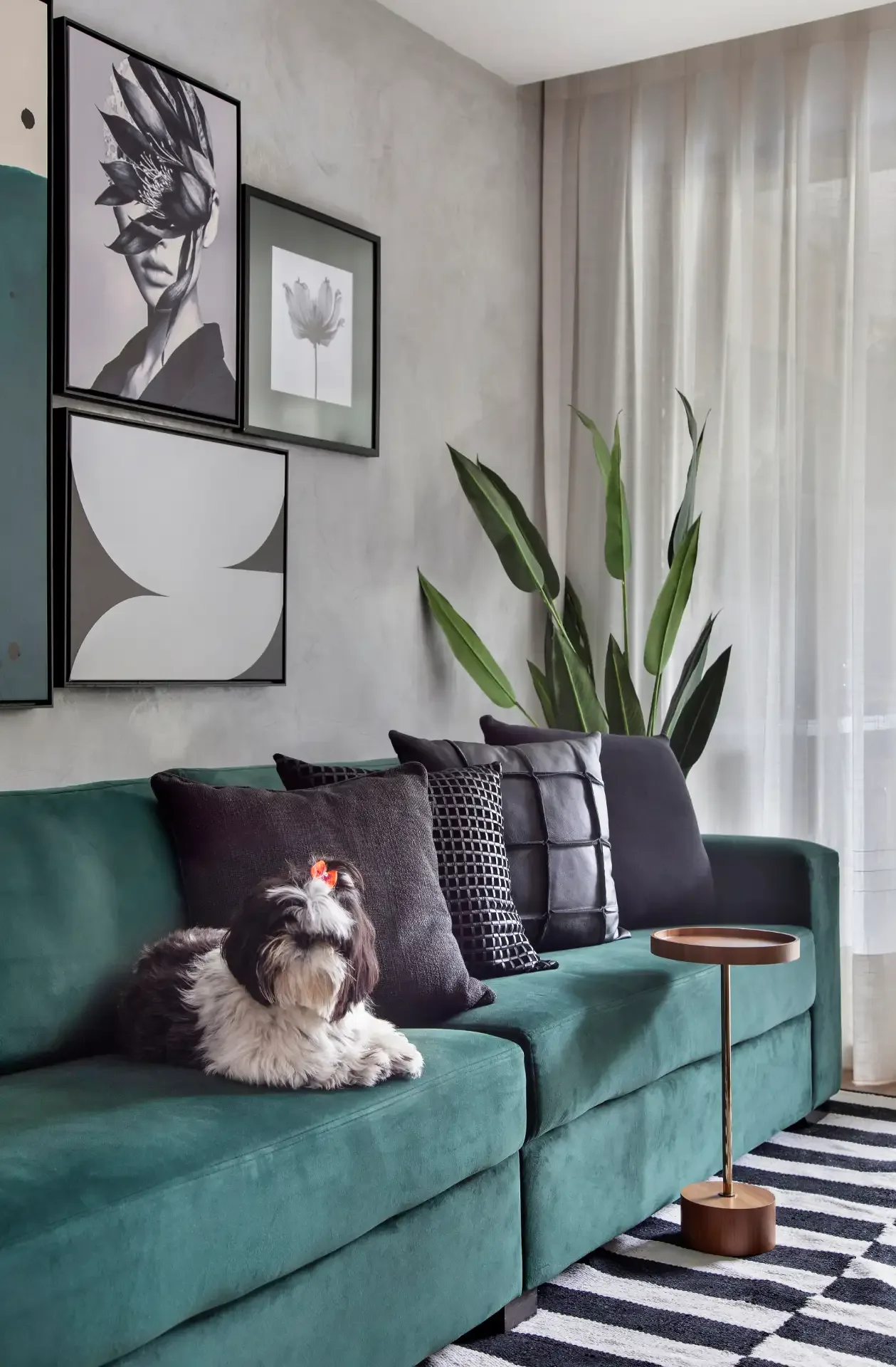 Apartamento Renata e Emerson — imagem 9